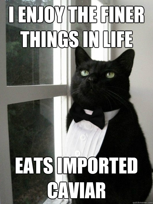 i enjoy the finer things in life eats imported caviar - Classy cat