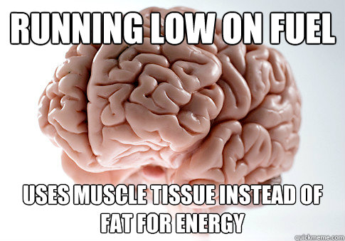 running low on fuel uses muscle tissue instead of fat for e - Scumbag Brain