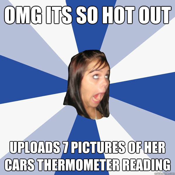 omg its so hot out uploads 7 pictures of her cars thermomete - Annoying Facebook Girl