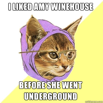 i liked amy winehouse before she went underground - Hipster Kitty