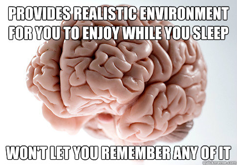 provides realistic environment for you to enjoy while you sl - Scumbag Brain