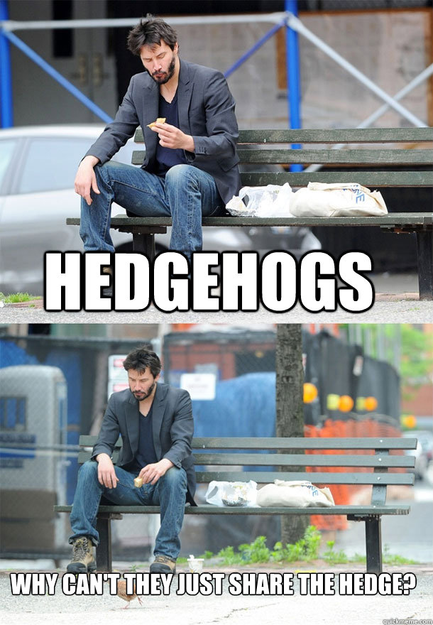 hedgehogs why cant they just share the hedge - Sad Keanu