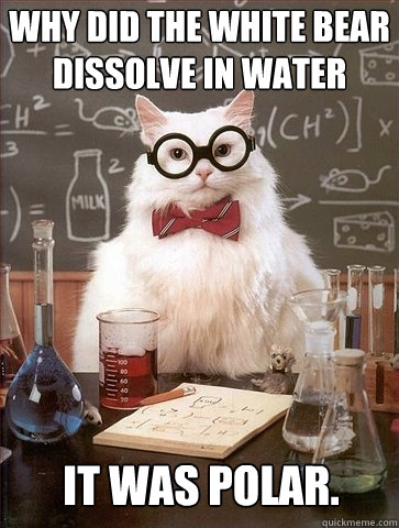 why did the white bear dissolve in water it was polar - Chemistry Cat