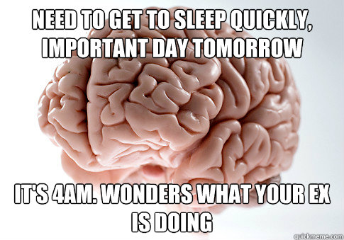 need to get to sleep quickly important day tomorrow its 4a - Scumbag Brain