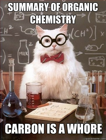 summary of organic chemistry carbon is a whore - Chemistry Cat