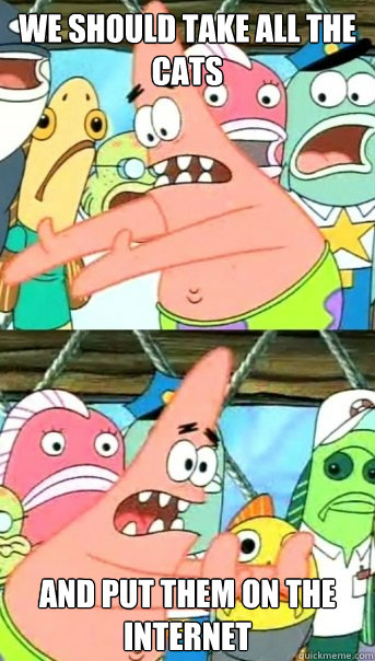 we should take all the cats and put them on the internet - Push it somewhere else Patrick