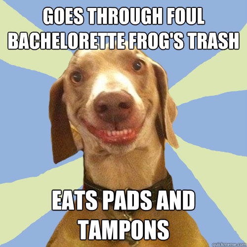 goes through foul bachelorette frogs trash eats pads and ta - Disgusting Doggy