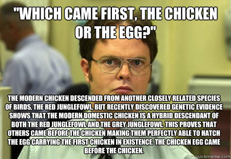 which came first the chicken or the egg the modern chick - Dwight