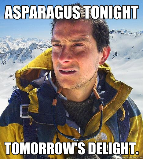 asparagus tonight tomorrows delight - Bear Grylls
