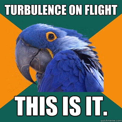 turbulence on flight this is it - Paranoid Parrot