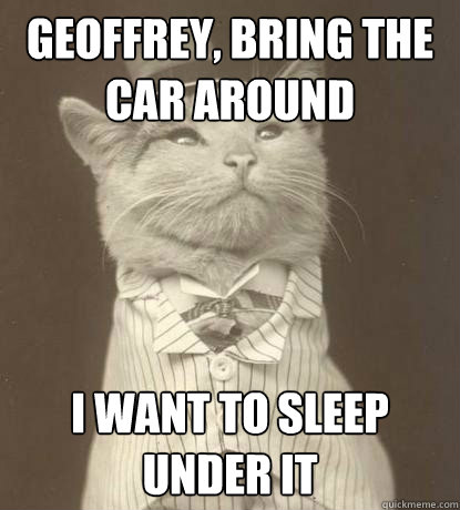 geoffrey bring the car around i want to sleep under it - Aristocat