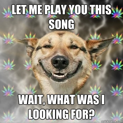 let me play you this song wait what was i looking for - Stoner Dog