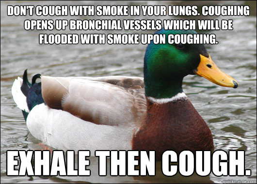 dont cough with smoke in your lungs coughing opens up bron - Actual Advice Mallard