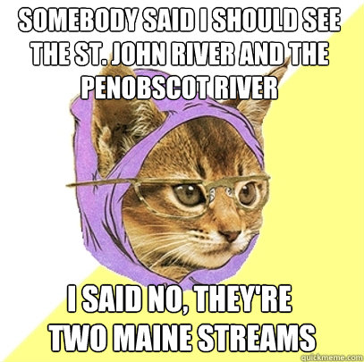 somebody said i should see the st john river and the penobs - Hipster Kitty