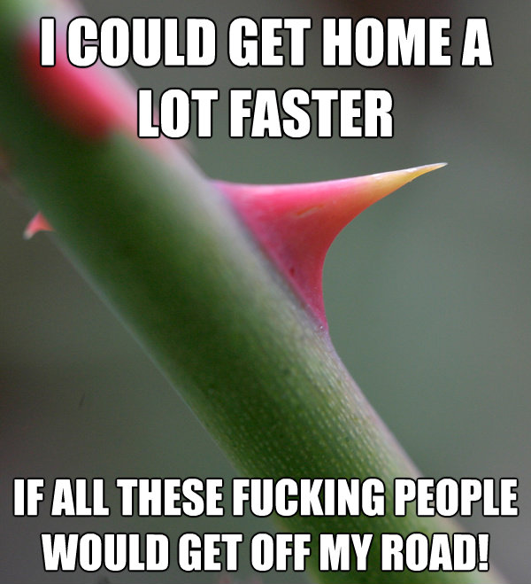 i could get home a lot faster if all these fucking people wo - Self Important Prick
