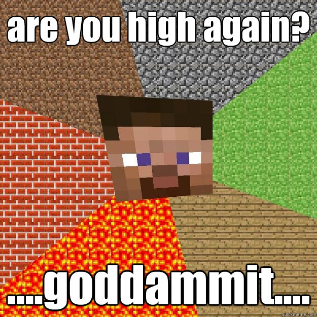 are you high again goddammit - Minecraft