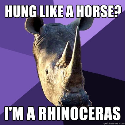 hung like a horse im a rhinoceras - Sexually Oblivious Rhino