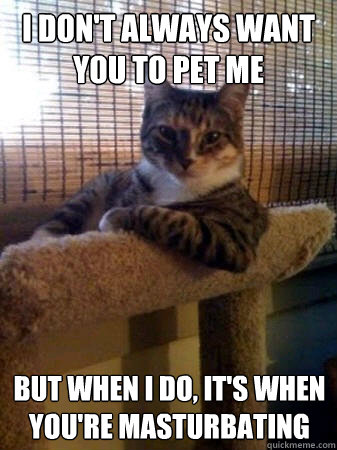 i dont always want you to pet me but when i do its when y - The Most Interesting Cat in the World