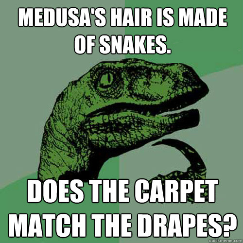 medusas hair is made of snakes does the carpet match the d - Philosoraptor
