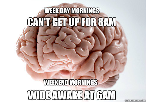 cant get up for 8am wide awake at 6am week day mornings wee - Scumbag Brain