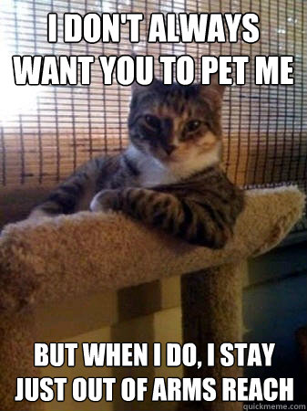i dont always want you to pet me but when i do i stay just - The Most Interesting Cat in the World