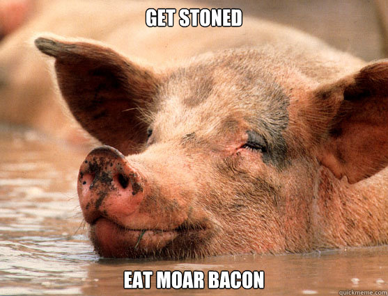 Stoned Pig