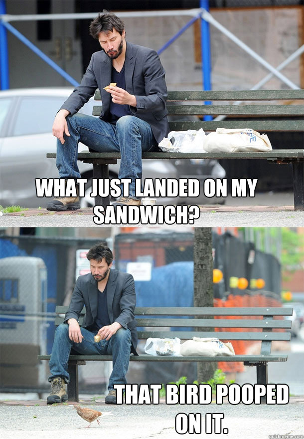 what just landed on my sandwich that bird pooped on it - Sad Keanu