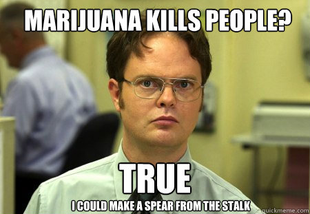 marijuana kills people true i could make a spear from the s - Schrute