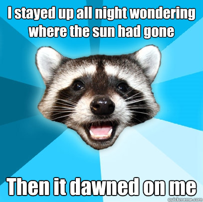 i stayed up all night wondering where the sun had gone then - Lame Pun Coon