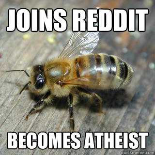 joins reddit becomes atheist - Hivemind bee