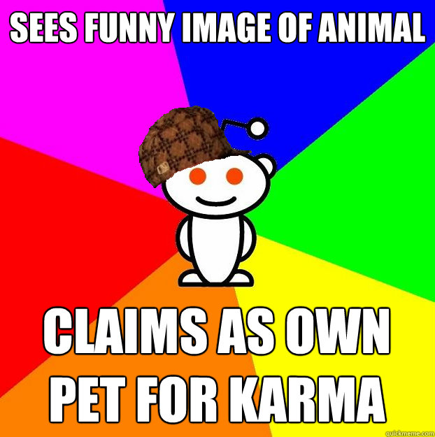 sees funny image of animal claims as own pet for karma - Scumbag Redditor