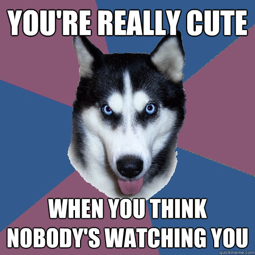 youre really cute when you think nobodys watching you - Creeper Canine