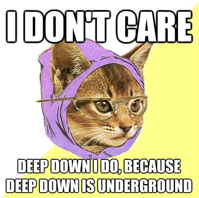 i dont care deep down i do because deep down is undergroun - Hipster Kitty