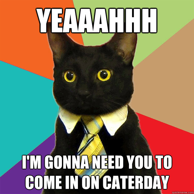 yeaaahhh im gonna need you to come in on caterday - Business Cat