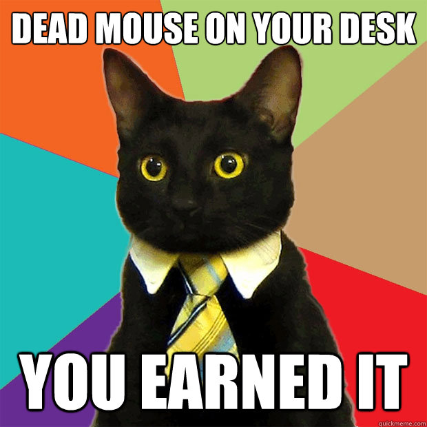 dead mouse on your desk you earned it - Business Cat