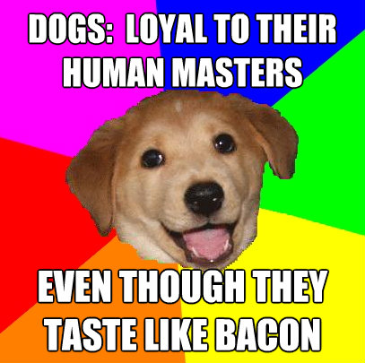 dogs loyal to their human masters even though they taste l - Advice Dog