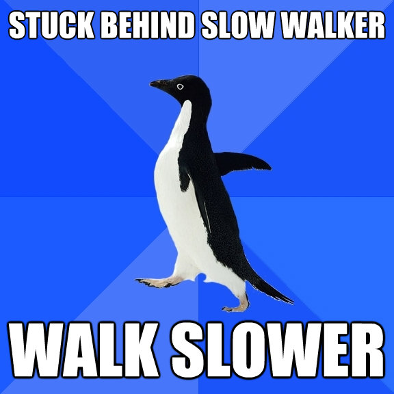 stuck behind slow walker walk slower - Socially Awkward Penguin