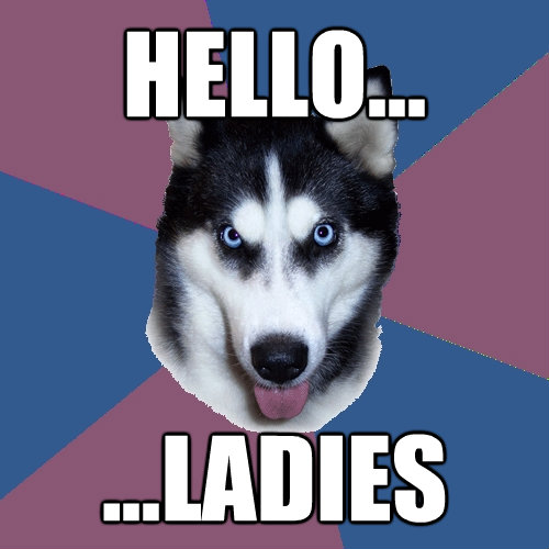 hello ladies - Creeper Canine