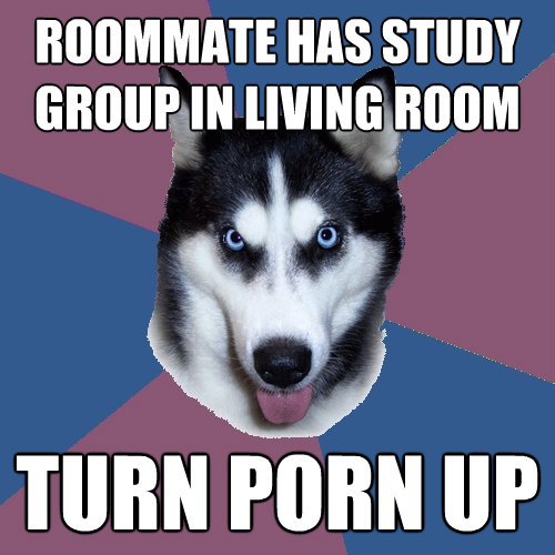 roommate has study group in living room turn porn up - Creeper Canine