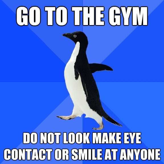 go to the gym do not look make eye contact or smile at anyon - Socially Awkward Penguin