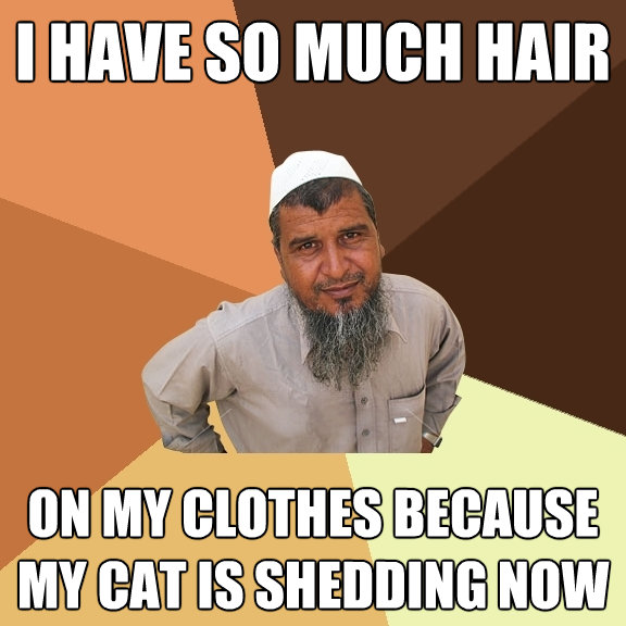 i have so much hair on my clothes because my cat is shedding - Ordinary Muslim Man