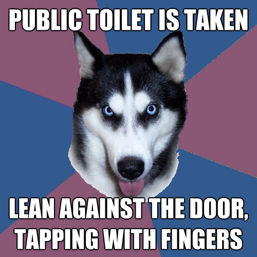public toilet is taken lean against the door tapping with f - Creeper Canine