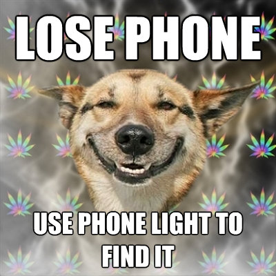 lose phone use phone light to find it - Stoner Dog