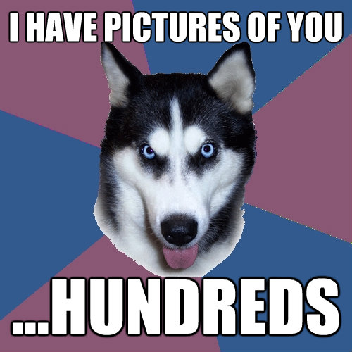 i have pictures of you hundreds - Creeper Canine
