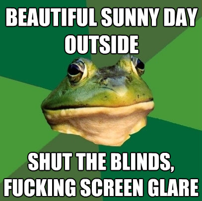 beautiful sunny day outside shut the blindsfucking screen - Foul Bachelor Frog