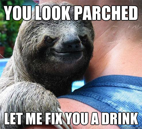 you look parched let me fix you a drink - Suspiciously Evil Sloth