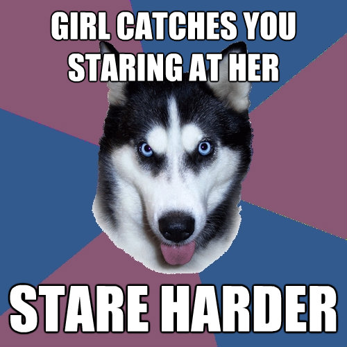girl catches you staring at her stare harder - Creeper Canine