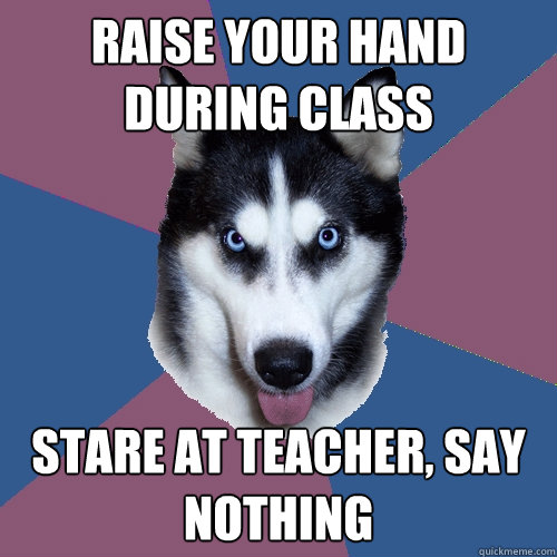 raise your hand during class stare at teacher say nothing - Creeper Canine