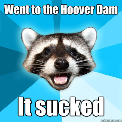 went to the hoover dam it sucked - Lame Pun Coon
