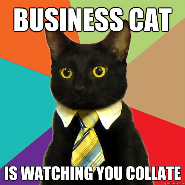 business cat. Business Cat